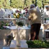 Siamo in un�altra parte del cimitero: qui, vicino a un cipresso, si trova la tomba della moglie dell'uomo. Ed ecco che un gatto grigio tigrato si affaccia da dietro la lapide
